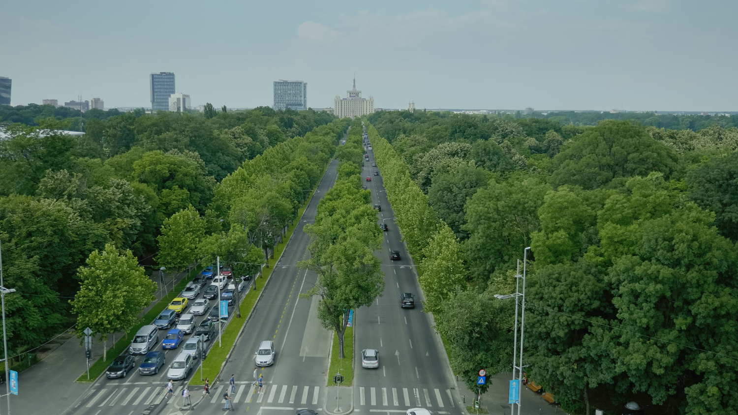 Strefy Czystego Transportu a leasing samochodu - jak wybrać auto, które nie straci funkcjonalności?