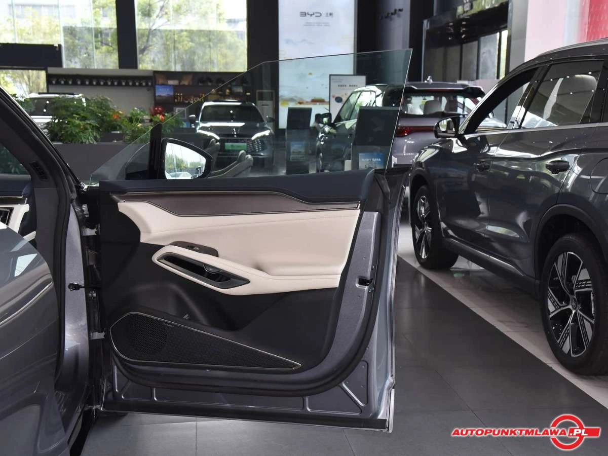 BYD Song - Zdjęcie 11