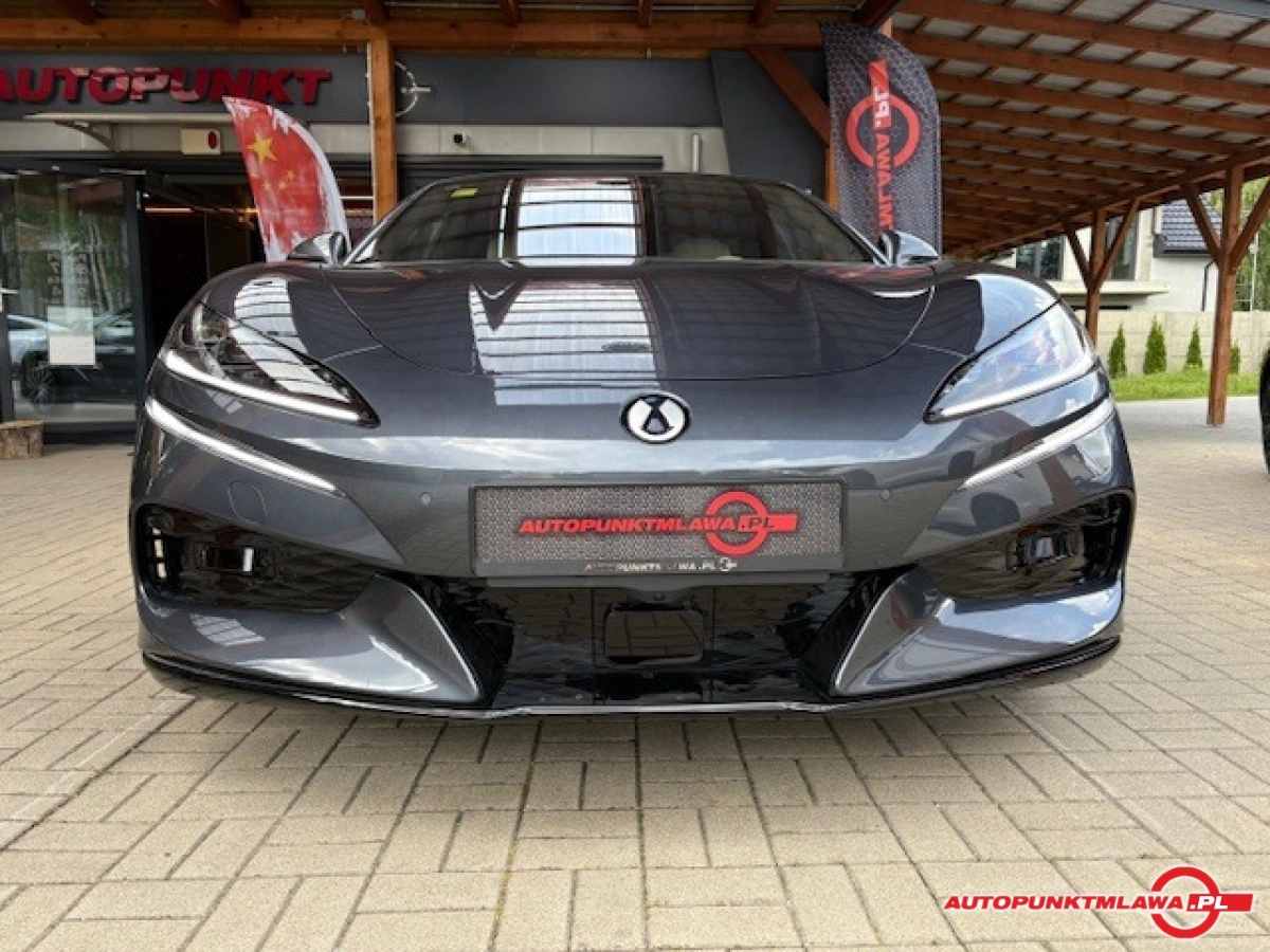 Denza Z9 - Zdjęcie 2