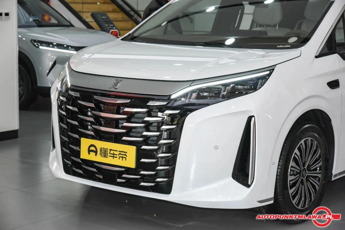 BYD Xia - Zdjęcie 2