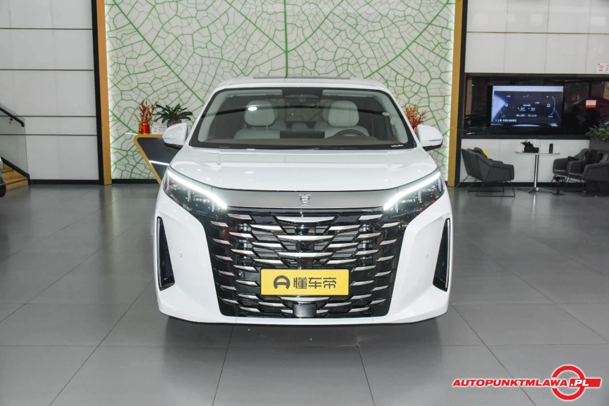 BYD Xia - Zdjęcie 1