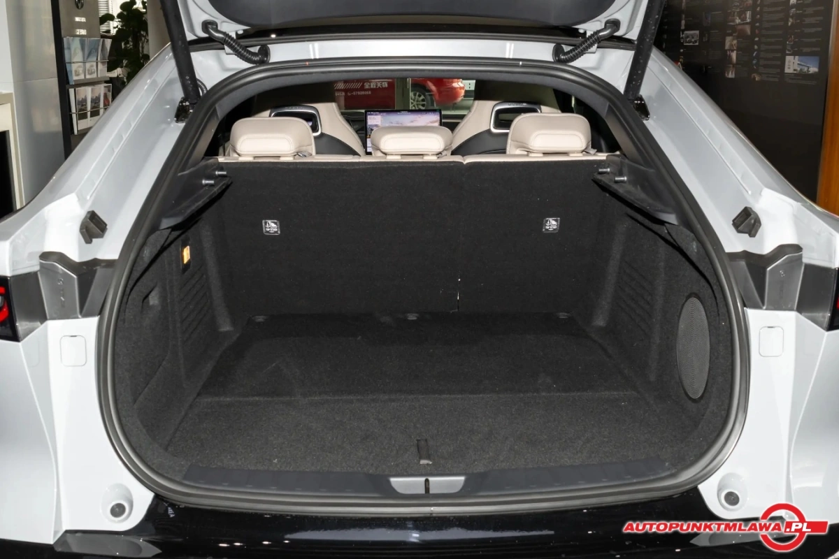 Mazda EZ-6 - Zdjęcie 19