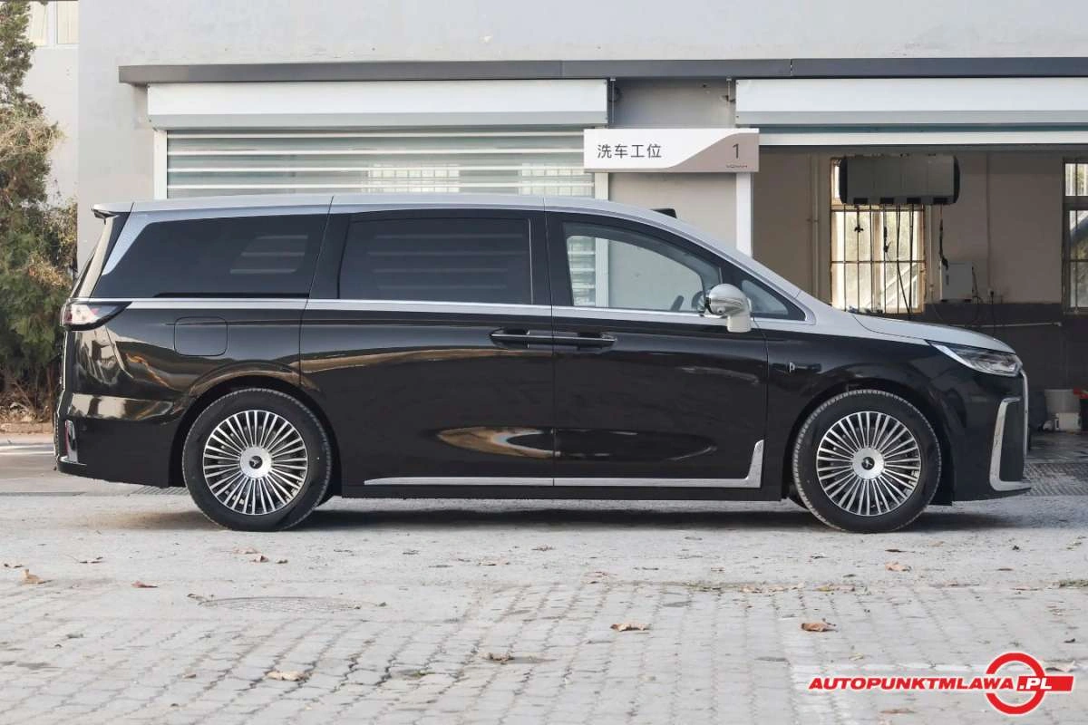 Voyah Dream - Zdjęcie 8