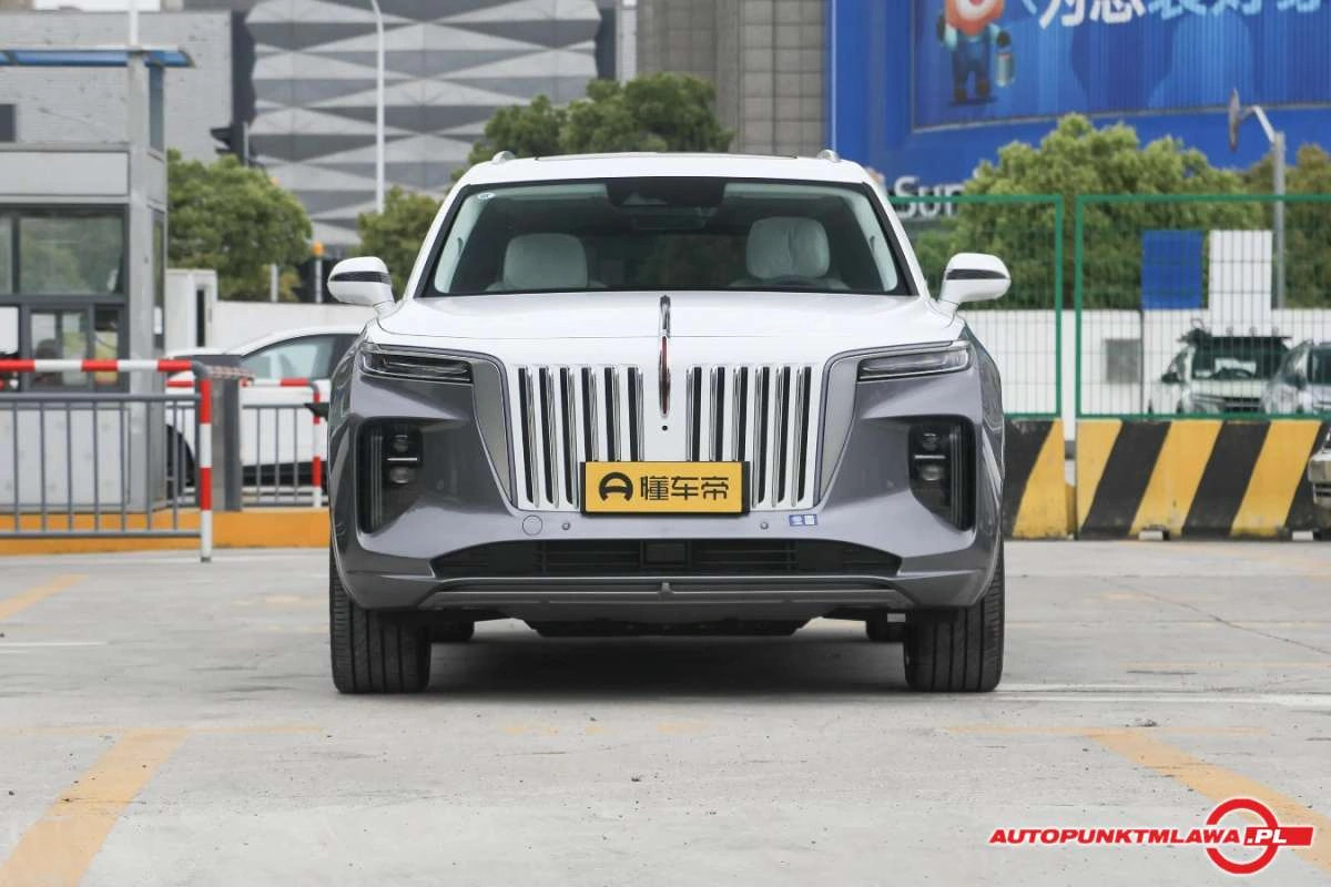 Hongqi E-HS9 - Zdjęcie 1