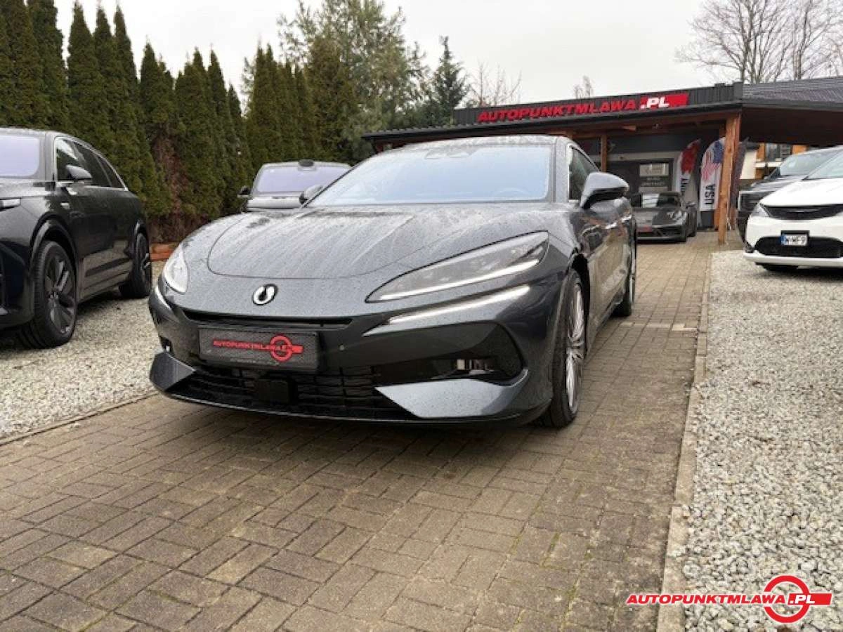 Denza Z9 - Główne zdjęcie