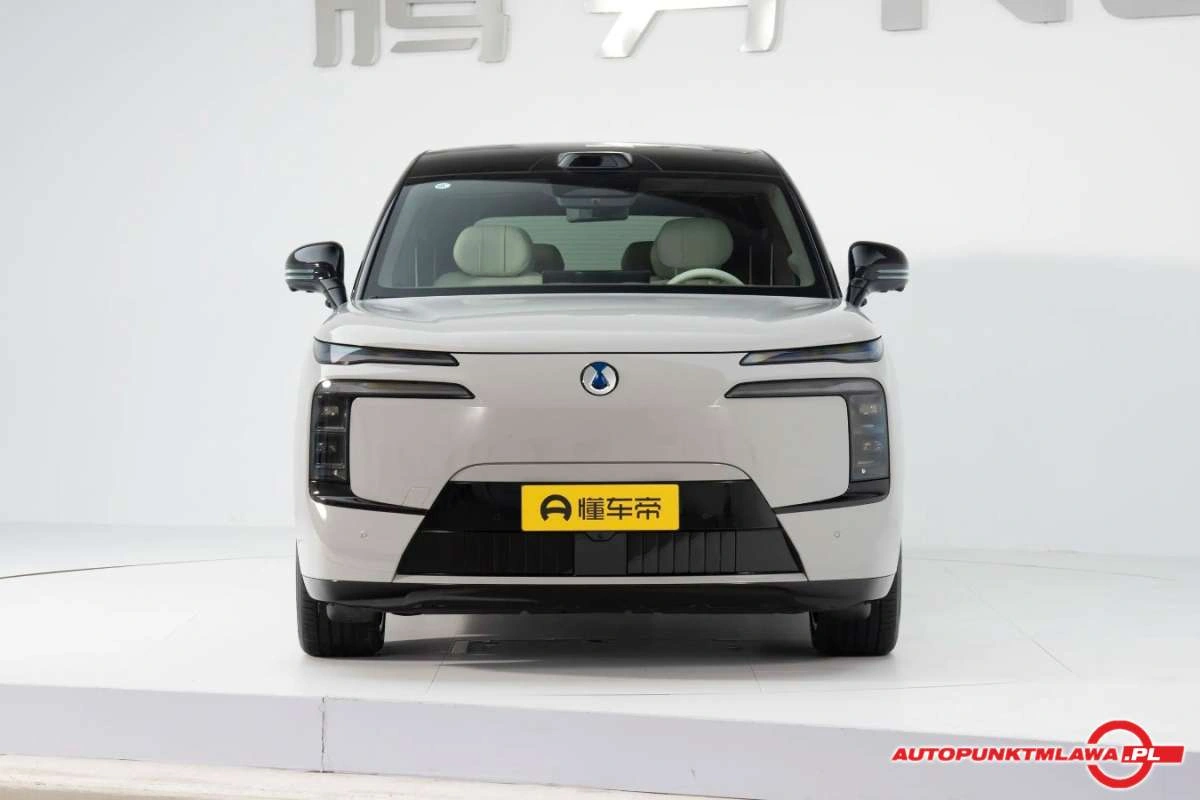 Denza N8L - Zdjęcie 1