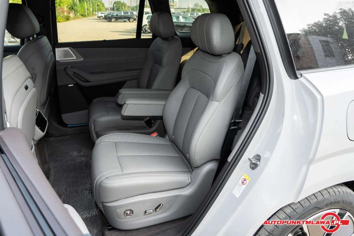 Denza N8L - Zdjęcie 12