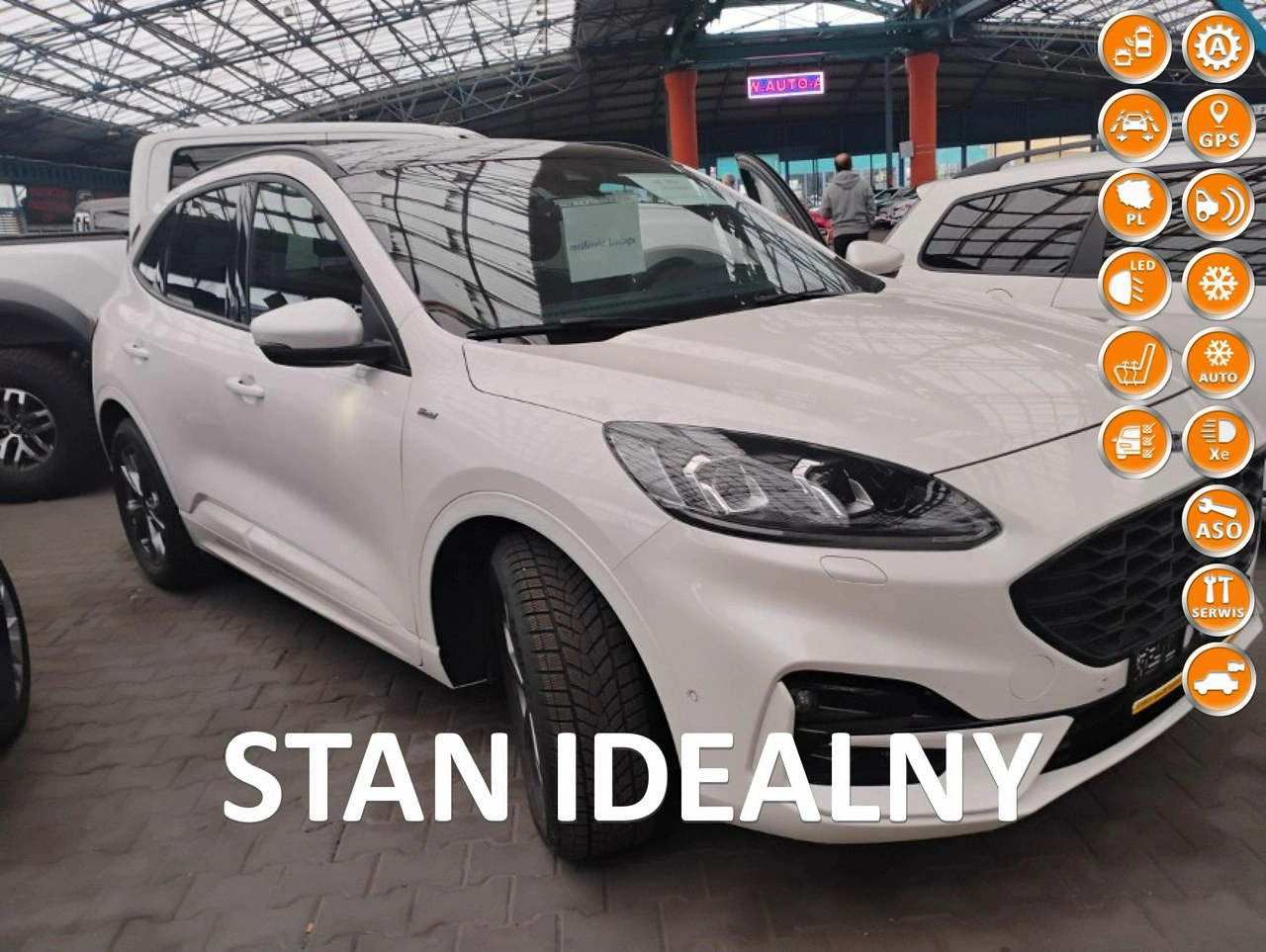 Ford Kuga - Główne zdjęcie