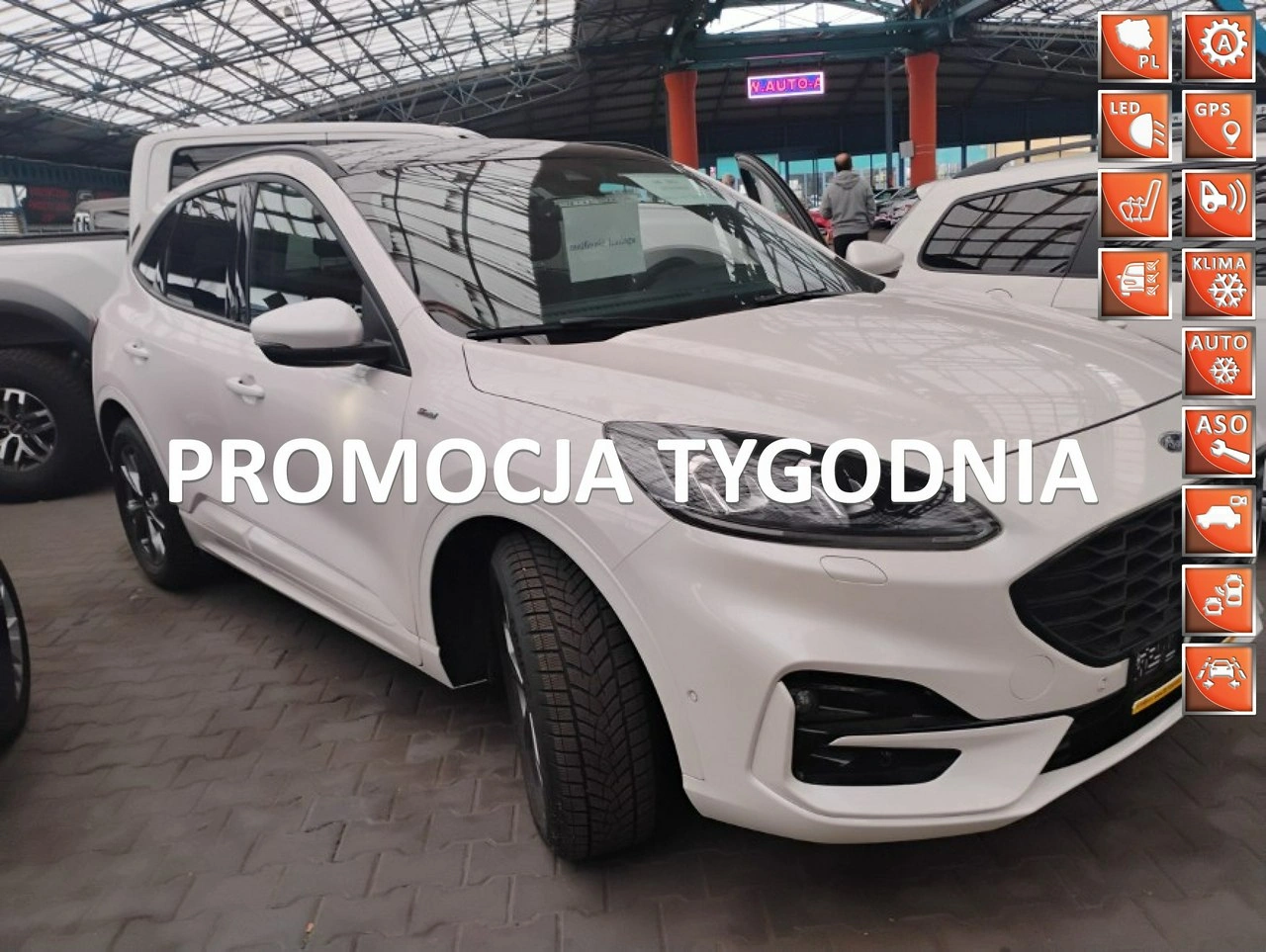 Ford Kuga - Główne zdjęcie