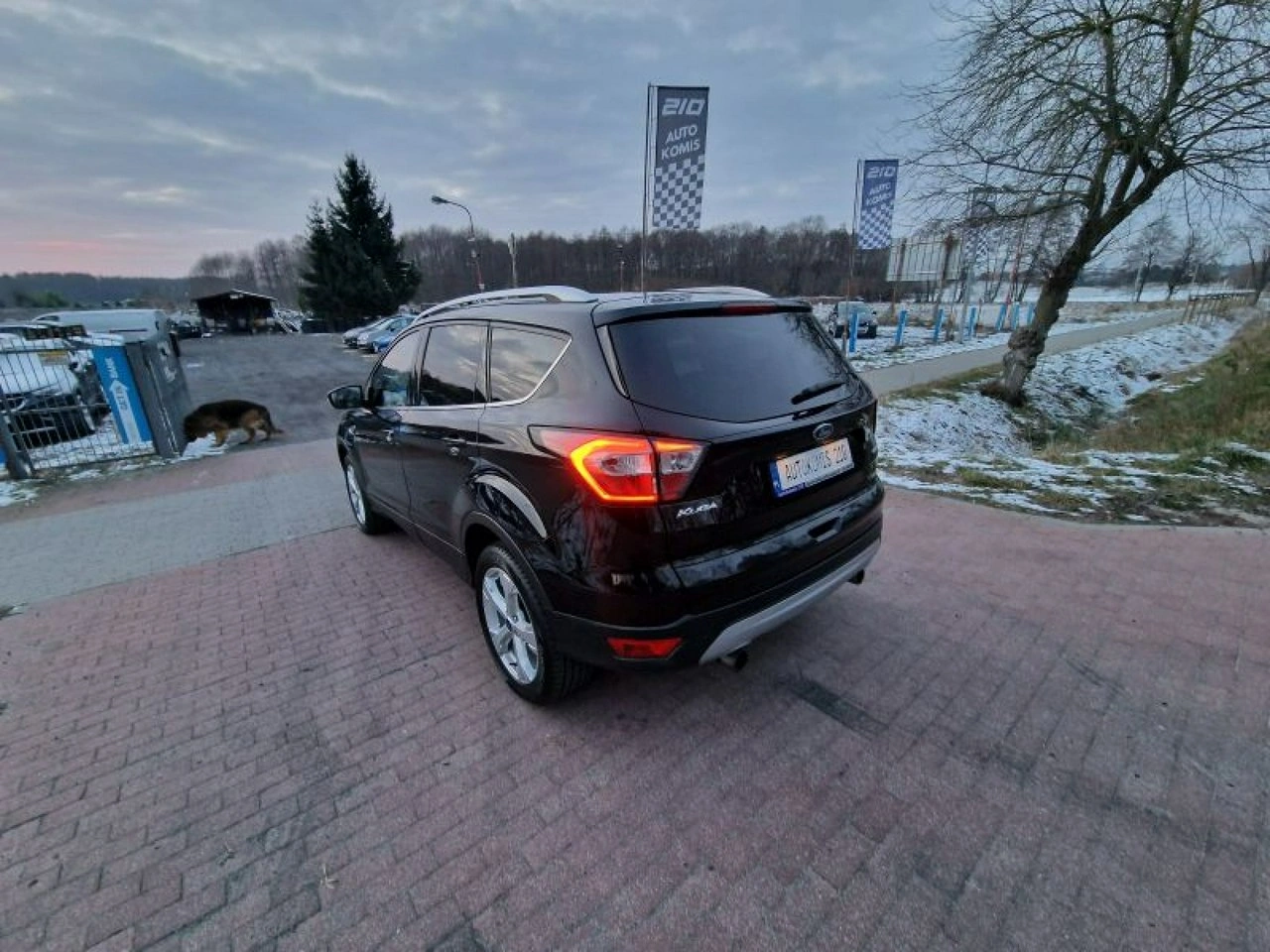 Ford Kuga - Zdjęcie 6