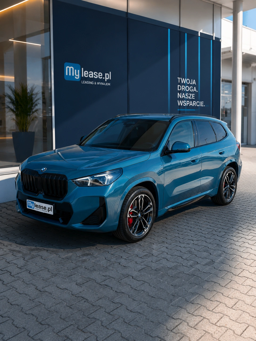BMW X1 - Zdjęcie 10