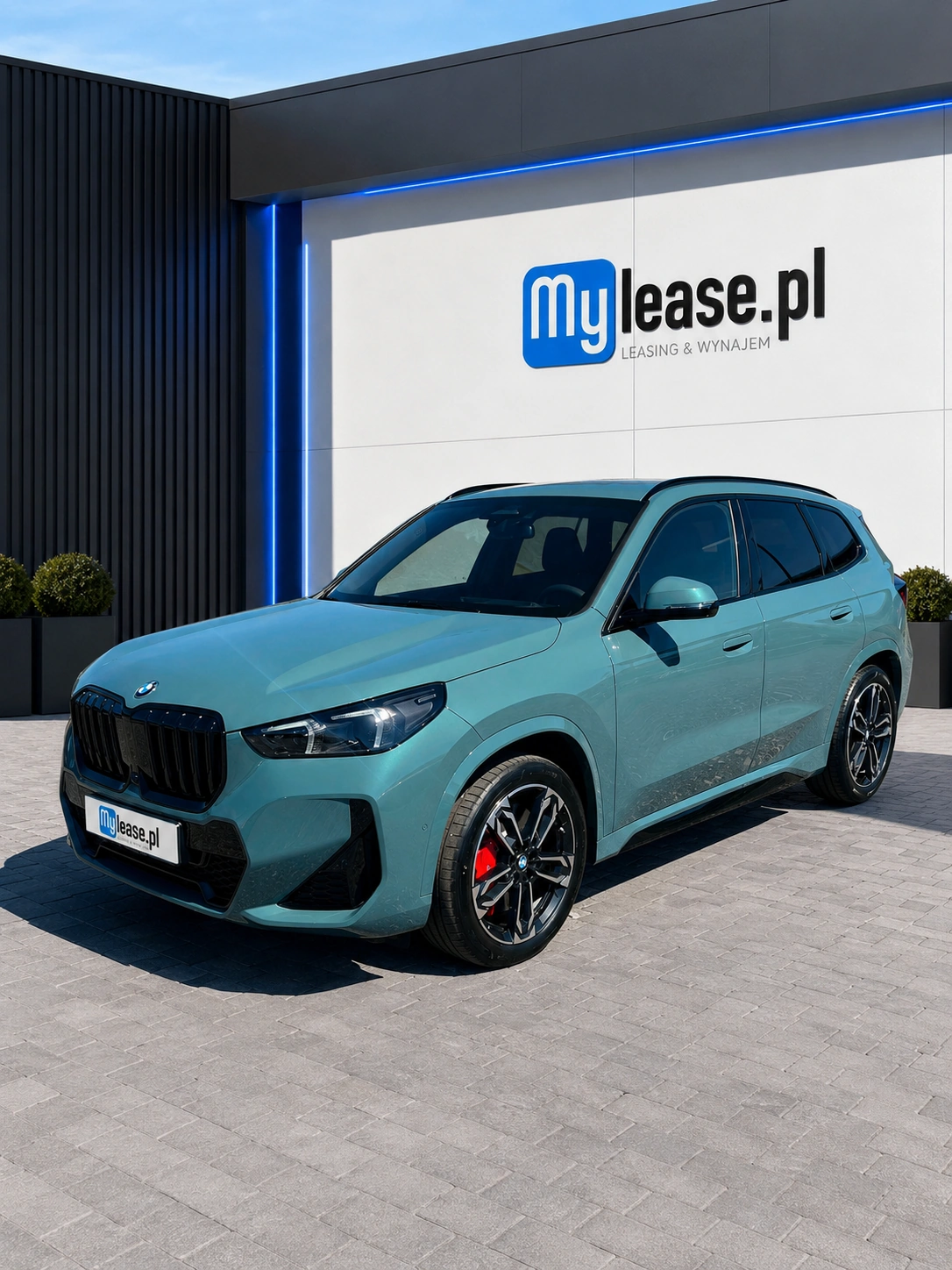 BMW X1 - Zdjęcie 16