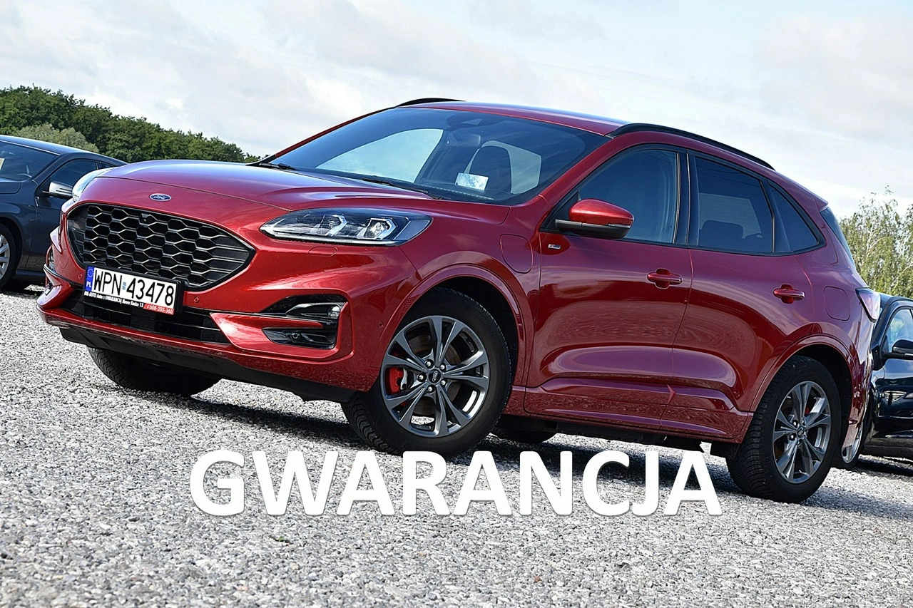 Ford Kuga - Główne zdjęcie
