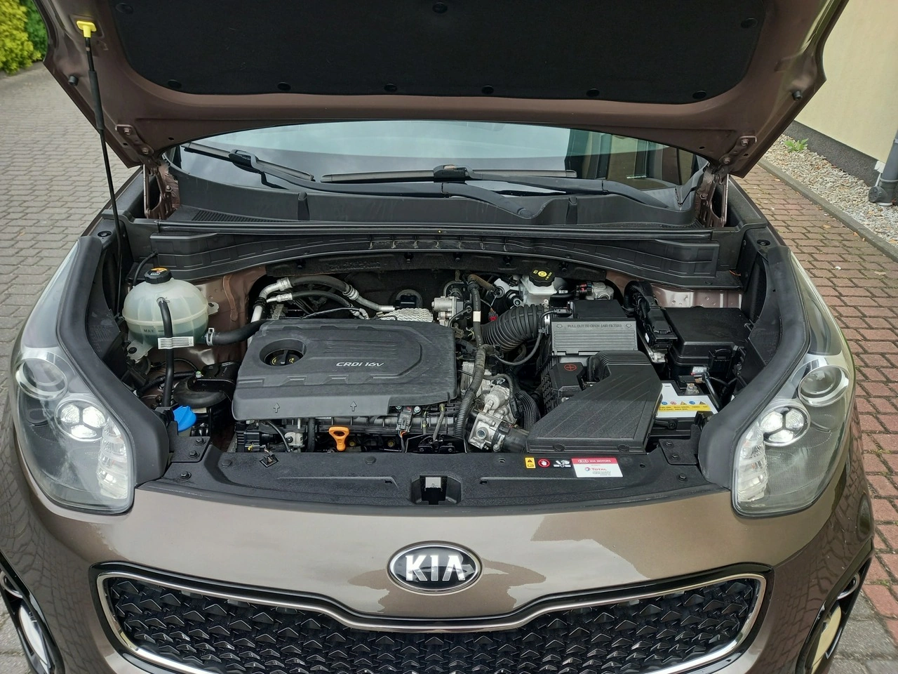 Kia Sportage - Zdjęcie 12
