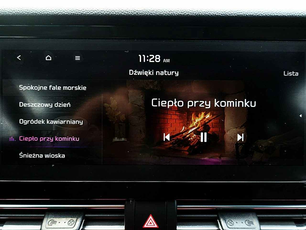 Kia Niro - Zdjęcie 52