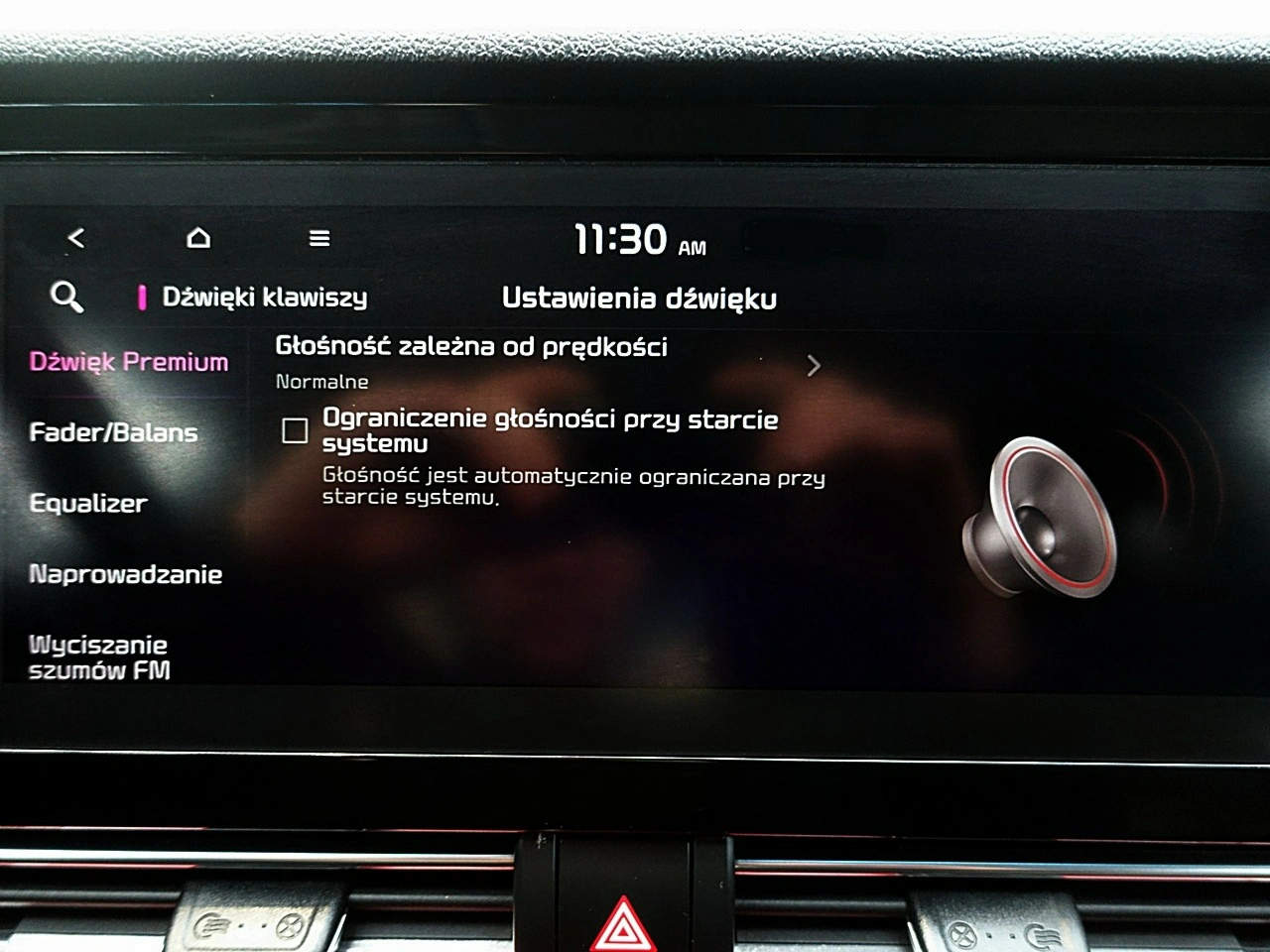 Kia Niro - Zdjęcie 58