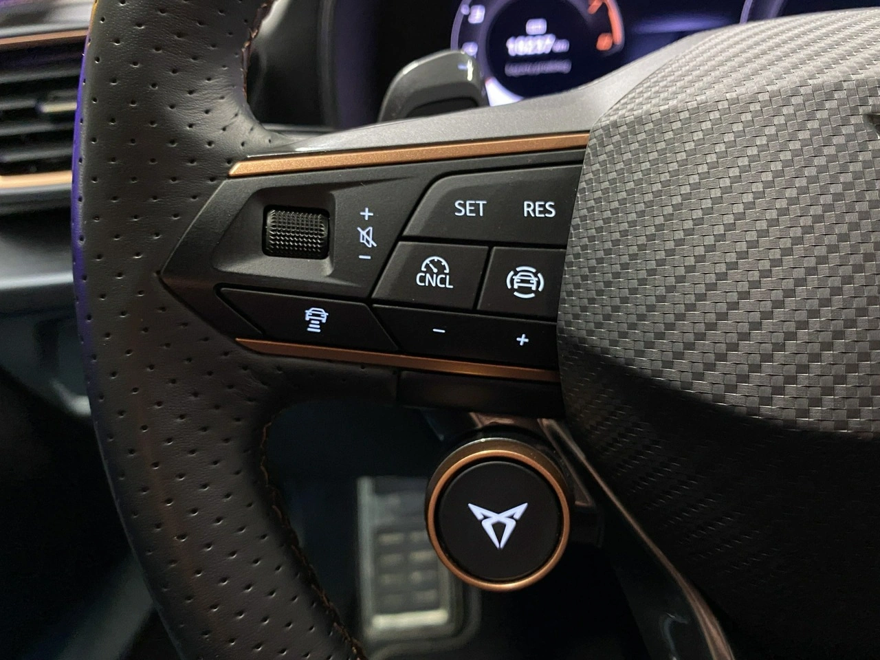 Cupra Formentor - Zdjęcie 21