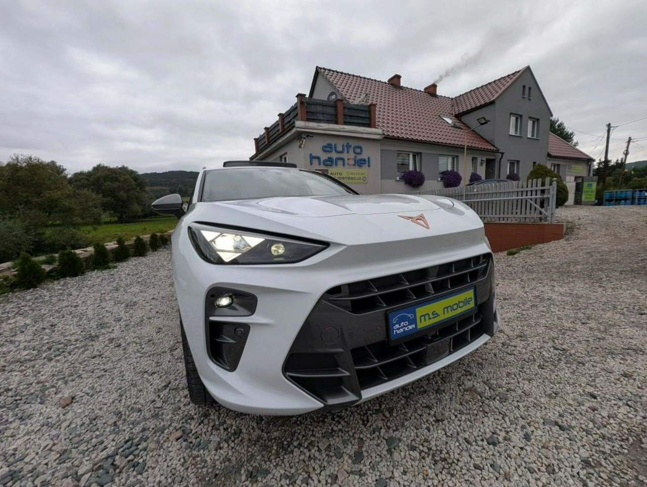 Cupra Terramar - Zdjęcie 11