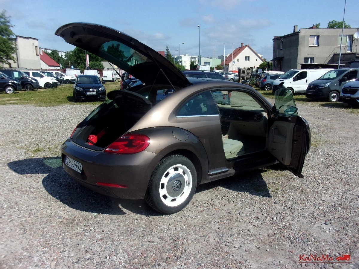 Volkswagen Beetle - Zdjęcie 29