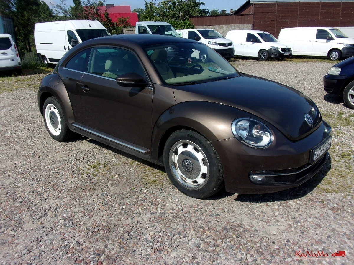 Volkswagen Beetle - Zdjęcie 7