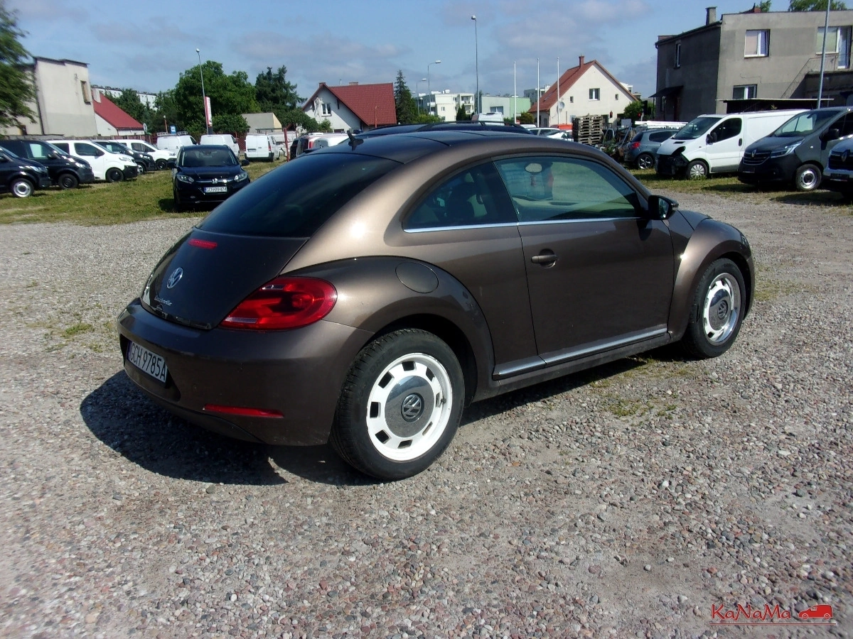 Volkswagen Beetle - Zdjęcie 9