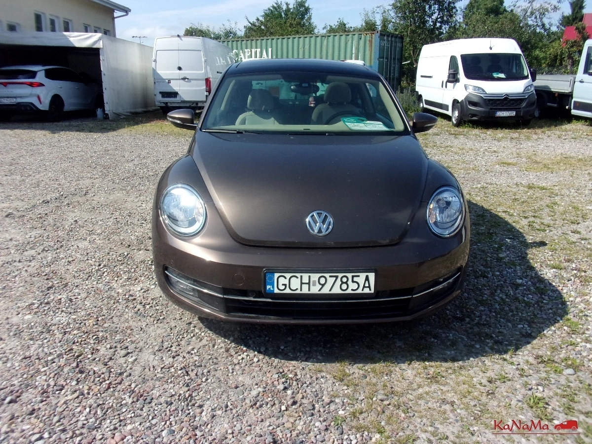 Volkswagen Beetle - Zdjęcie 6