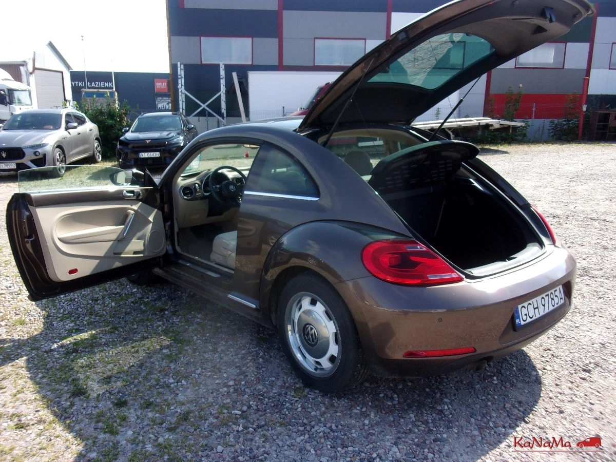 Volkswagen Beetle - Zdjęcie 11