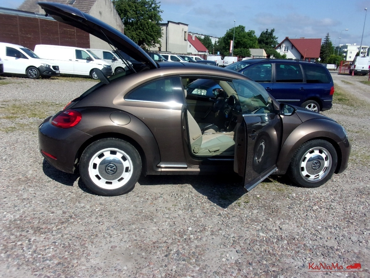 Volkswagen Beetle - Zdjęcie 8