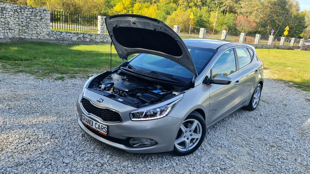 Kia Ceed - Zdjęcie 29