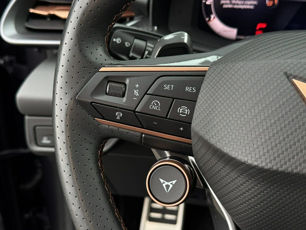 Cupra Terramar - Zdjęcie 13