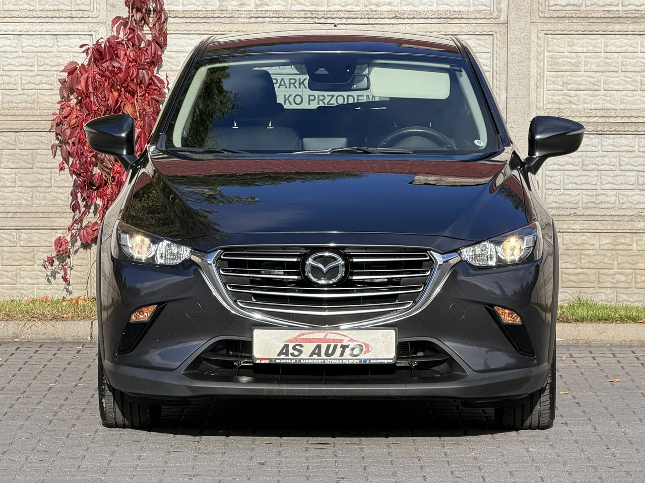Mazda CX-3 - Zdjęcie 28