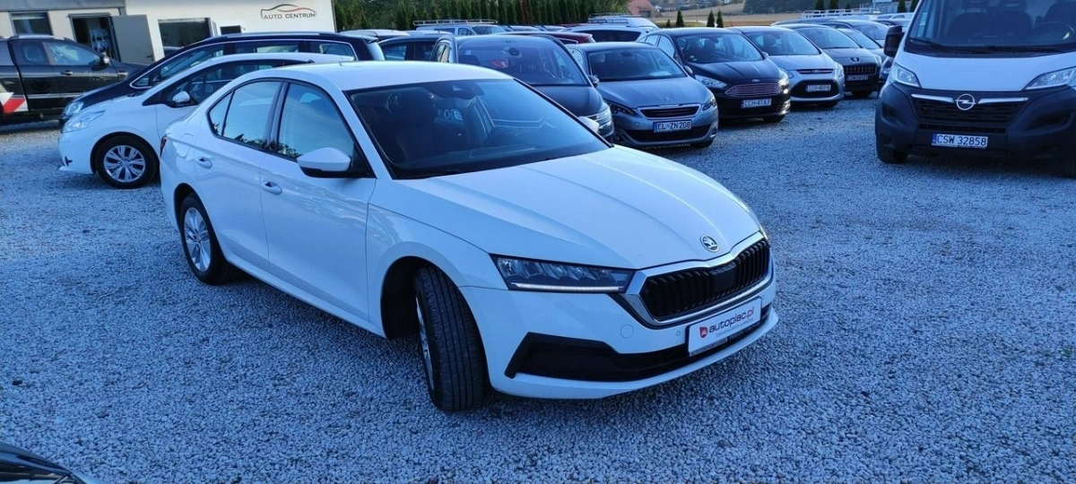 Skoda Octavia - Zdjęcie 10